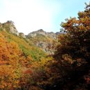 [벙개버스] 26. 11. 7 제 ?차 벙개 산행 주왕산 좌석 신청 현 24명 31인승 7명 가능 이미지