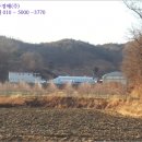 산법리 이미지