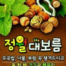 척사대회_장위2동 이미지