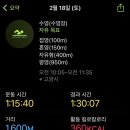 젤루조아