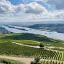 에버민박 이미지