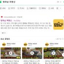 구룡리농장 이미지