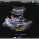 축복목장 이미지