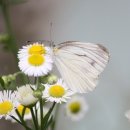 이준호농장 이미지