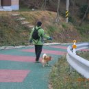 거북이여인숙 이미지