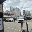 젤라뷰티