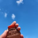 노을길 | [일상] 2025 무안 해안 노을길 전국 마라톤 대회 5km 완주 후기