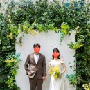 덩쿨 | [웨딩촬영] 청담 토탈 스튜디오 <더청담 스튜디오> 촬영후기_야외 초록 덩쿨 프레임 배경