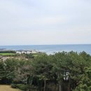 소노캄 제주 웨스트타워 이미지