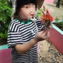 중식농장 | 필리핀 보홀 아이와 여행 보홀 육상투어 로복강 선상중식 애니멀 파크 나비농장 세친구투어