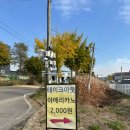 멍토피아 | 평택 애견 동반 카페 : 멍토피아