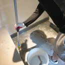 악쓰는하마 이미지