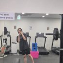 더퀸컨설팅 | 6월 일상 결혼식과 신혼여행(헝가리)을 곁들인