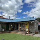 옥천장 | 대전 근교 촌캉스 추천 옥천장 내돈내산 솔직후기! (FT. 애견동반)