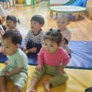 10월 14일- 어린이집 안전공제회 온라인 안전교육 인형극 (뒤죽박죽 곤충나라) 이미지