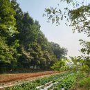 예빛유치원 이미지