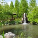 대연수목전시원 이미지