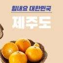 171 이미지