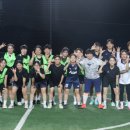 팀아울