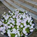 알미공원 화장실 이미지