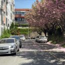 신양테마파크 이미지