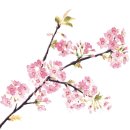 옥현어린이도서관 이미지