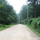 용대자연휴양림캠핑장 이미지