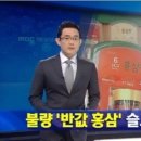 금산고려인삼