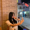 오늘:연