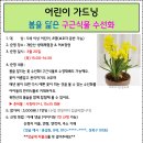 3.20(목)어린이 가드닝(봄을 닮은 구근식물 수선화)_오후3시_5세이상 어린이 대상(보호자 동반 가능) 이미지