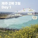 성산읍 고성리 352-4 | [제주도 가족여행] 2박3일 일정공유 - day 1 동쪽 유채꽃 루트