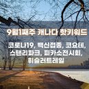 피카소파크 이미지