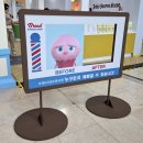 [빵빵페스티벌] 영등포 타임스퀘어 빵 팝업 관광 후기
