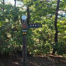 장계관광지 이미지