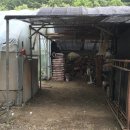 하늘채민박 이미지