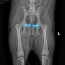 당감동물병원 이미지