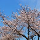 예래동-4 이미지