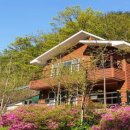 백야자연휴양림 이미지