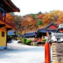 내원사유치원 이미지