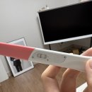 내추럴씨그룹 | (갑분) 임신 초기부터 중기까지 | 파란만장 우당탕탕 임산부 일상 👶🏻