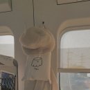 이안목장 이미지