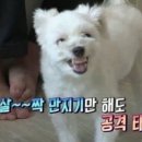 전치과의원 이미지