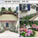 모닝스타 이미지