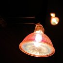 더블케이 이미지