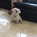 애니몰하우스 이미지