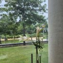 덕영대로1190번길 이미지