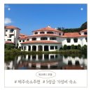 제주도건강랜드 | [제주도 호텔] 5성급 가성비 끝판왕! 수영하기 좋은 '에코랜드 호텔' 봄 여행 필수 코스 / 제주 숙소 추천