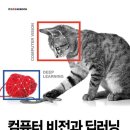 비젼컴퓨터 이미지