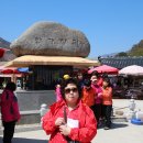 화개농원 이미지