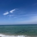 남경알뜰한마트 | * 강릉 - 하슬라가배/펜션림/철뚝소머리집/슬로웨이브/월정사